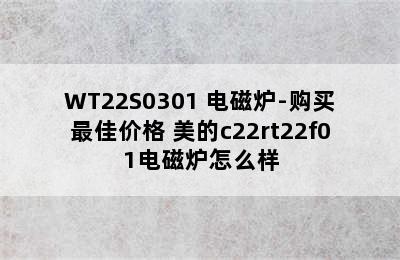 美的（Midea）C22-WT2203/WT22S0301 电磁炉-购买最佳价格 美的c22rt22f01电磁炉怎么样